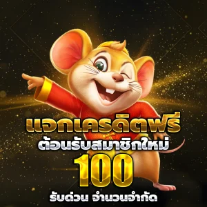 win711 แตกง่าย